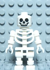 u`[] Skeleton with Skull^X{b@7569